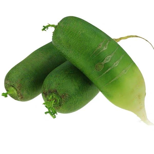 蘿卜種植技術